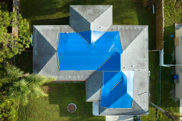 Best Roof Moss and Algae Removal  in Stepping Stone, CO